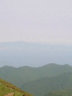 080618_1651~0002.jpg