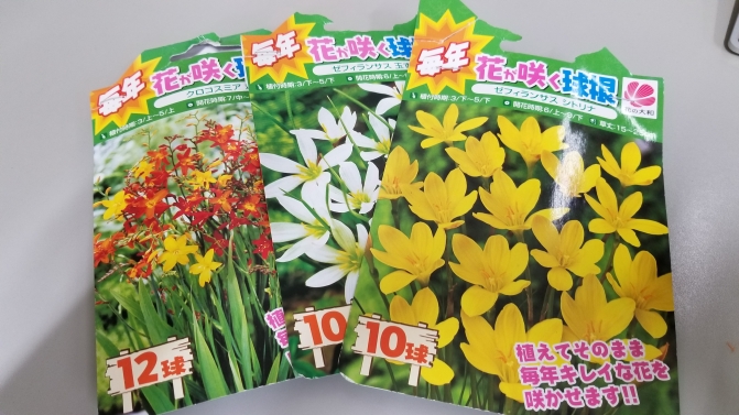 花壇を花で埋める あまなす日記