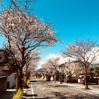 20190401_2582999.jpg