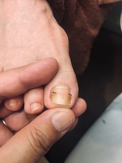 20190523_2626276.jpg