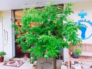 20200701_2891930.jpg