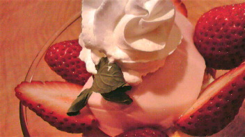 2009040701040000.jpg