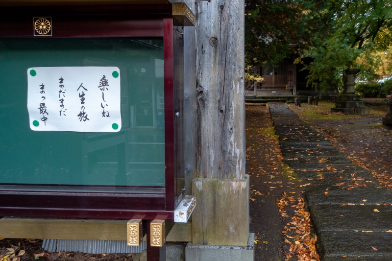 DSC07760.jpg
