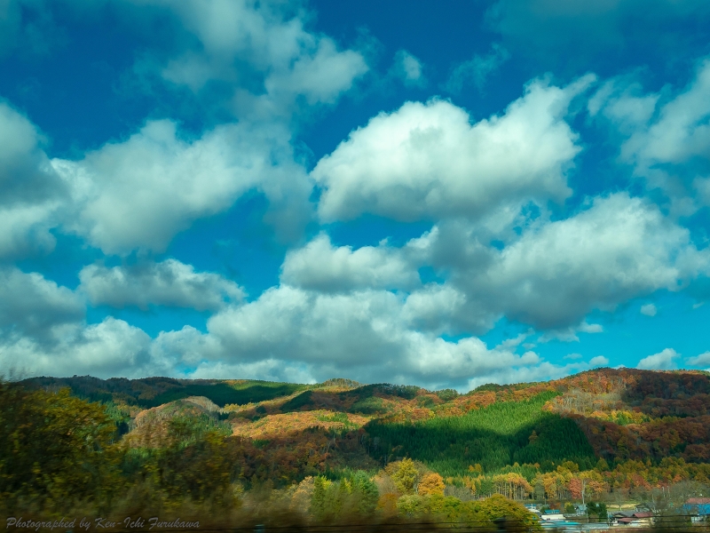 DSC07772.JPG
