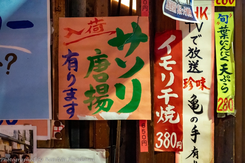 DSC09498.jpg