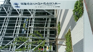 長崎みなとメディカルセンター 市民病院 未だに建設工事現場かと見紛う状況か その1 赤色コーン 等がやたら目立っています 駐車場 棟入口はどこ 添付画像の3枚目 駐車場棟から多少遠いと感じるメディカルセンター敷地入口には 駐車場 P マークの表示す