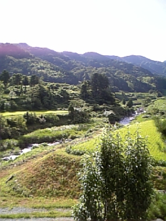 田舎の景色