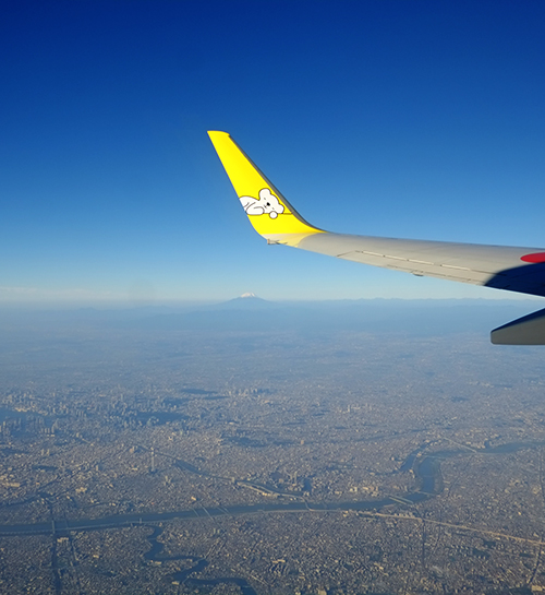 眼下に広がる大東京と富士山。