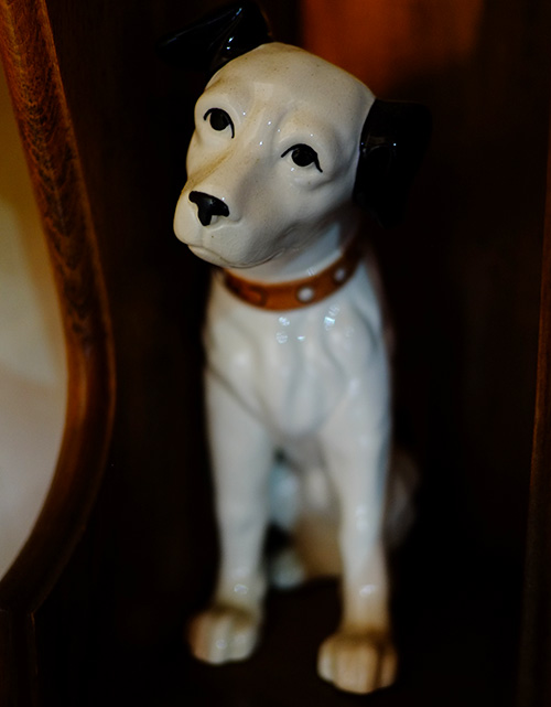 『ビラパワ』階段途中のビクター犬