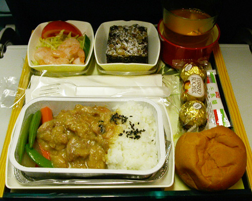 人生初機内食