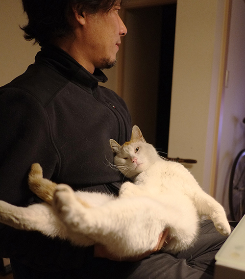 抱き上げるととにかく脱力するラテ。