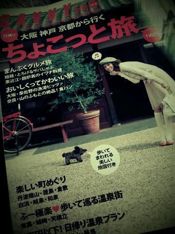 rps20111119_143226.jpg