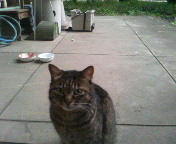200804221811000.jpg
