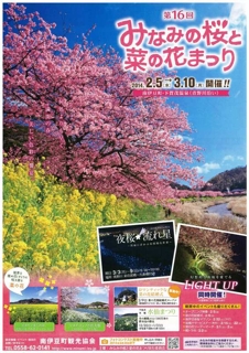 河津桜 みなみの桜と菜の花まつり