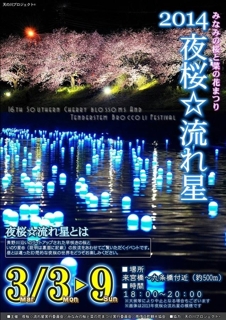 夜桜 みなみの桜と菜の花まつり