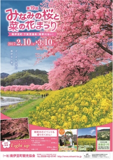 河津桜 みなみの桜と菜の花まつり