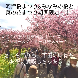 河津桜プラン