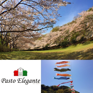 レンゲ祭りと稲取高原桜並木