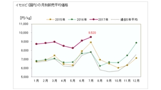 伊勢海老市場価格