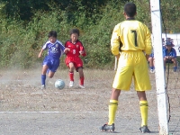 ntt