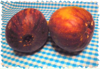 ¥¤¥Á¥¸¥¯1.jpg