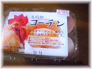 ¥³¡¼¥Á¥ó1.jpg