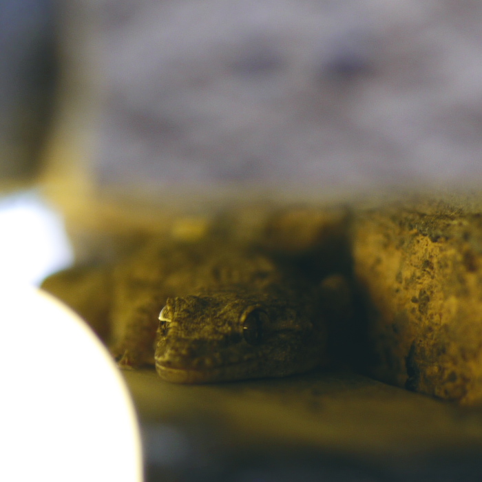 P_1080141.jpg
