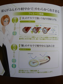 フィエーリ理論