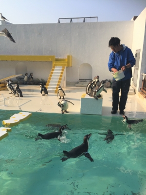 ペンギン.JPG