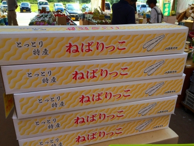 カルマンギア Bug in 青山剛昌ふるさと館