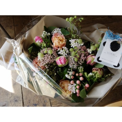 PhotoGrid_1552711812222-500x500.jpg