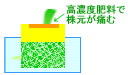 株元5