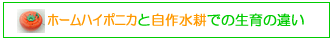 ハイポニカと自作の違い
