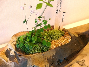 遠藤道枝展示1