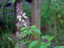 DSC09805.jpg