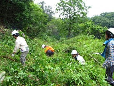 獣害対策ボランティア作業