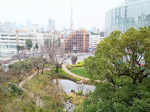 毛利庭園桜はまだ