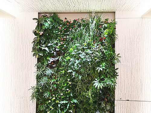 植物アート