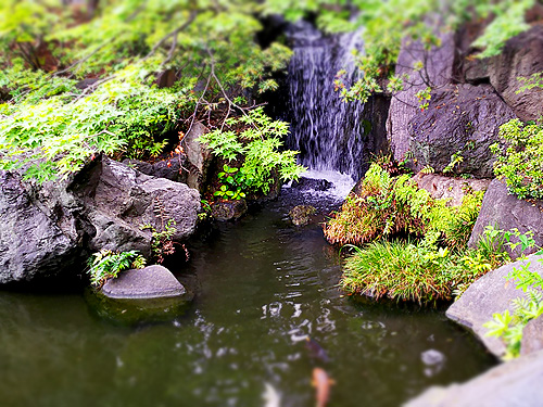 奥の池と滝