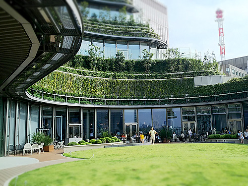 屋上とカフェ