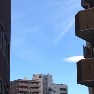 iPhoneImage.png