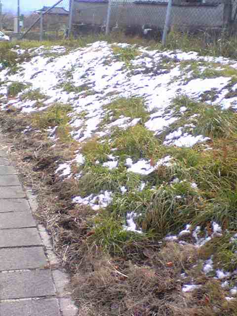 SBSH01271.JPG