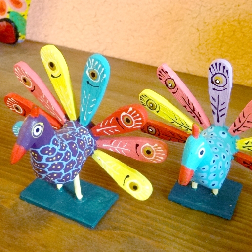 メキシコのアレブリヘのくじゃく