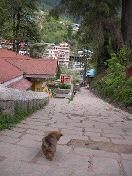 小道