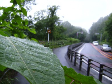 雨が・・・