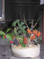 お正月の座敷の花
