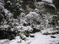 花の臺に雪積もる