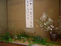 呈茶席の床の花