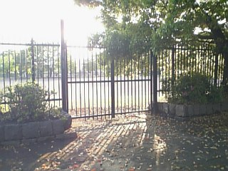DVC00064_M.JPG