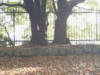 DVC00063_M.JPG